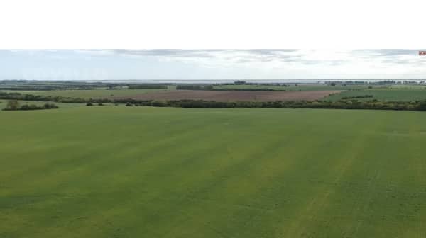 96 Hectáreas. hectáreas. Agrícola en Colonia Uruguay